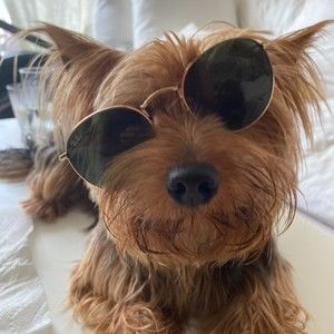 Meet your Posher, Caro